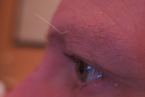 Crazy Eyebrow Hair!
