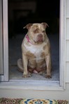 Guarding the Door