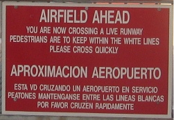 ...Please cross quickly